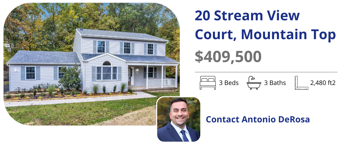 20 stream view court