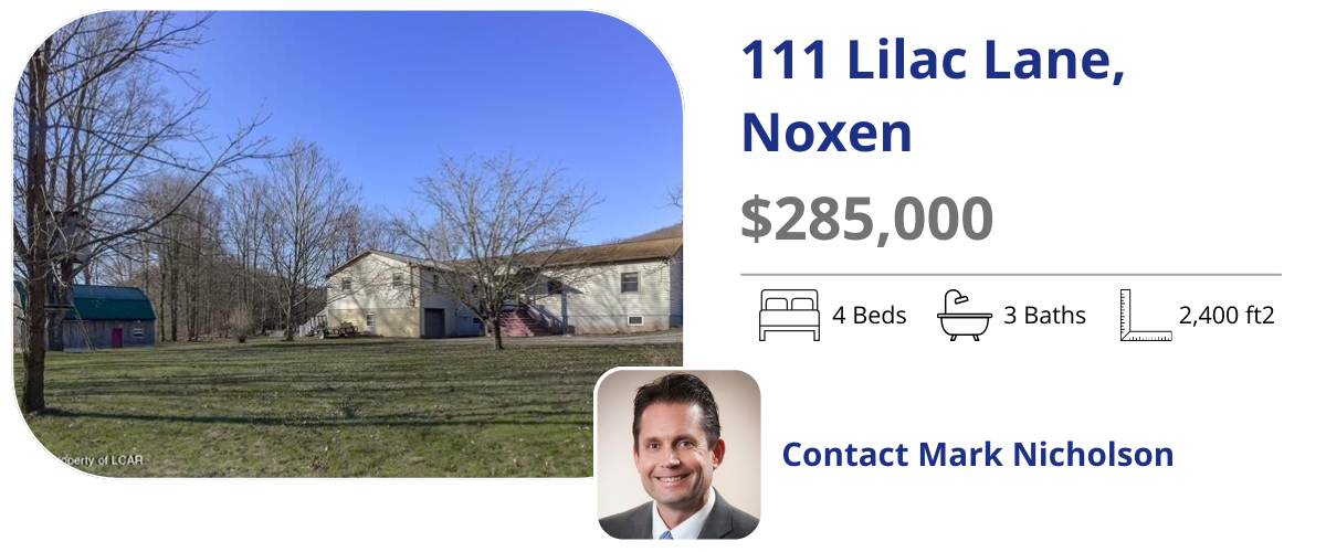 111 lilac lane