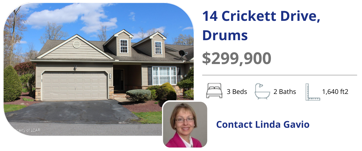 14 cricket dr