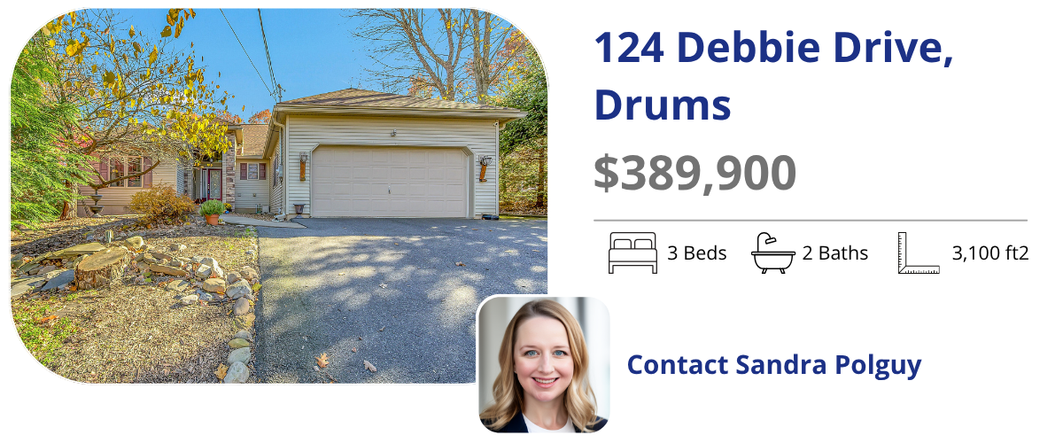 124 Debbie dr