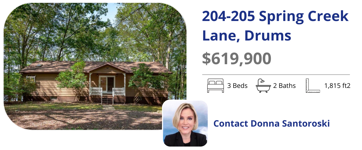 204-205 spring creek