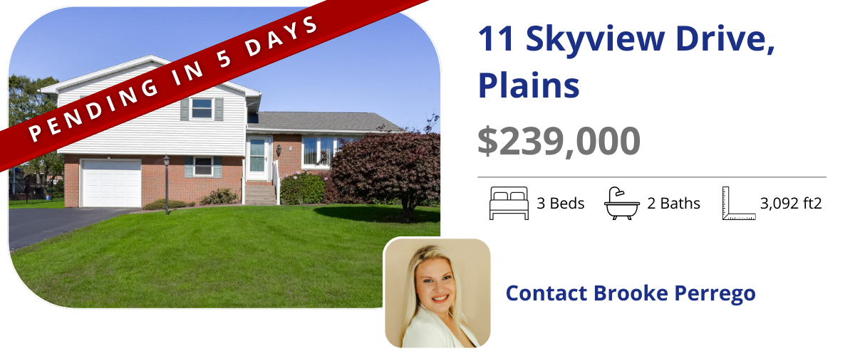 homes for sale in plains