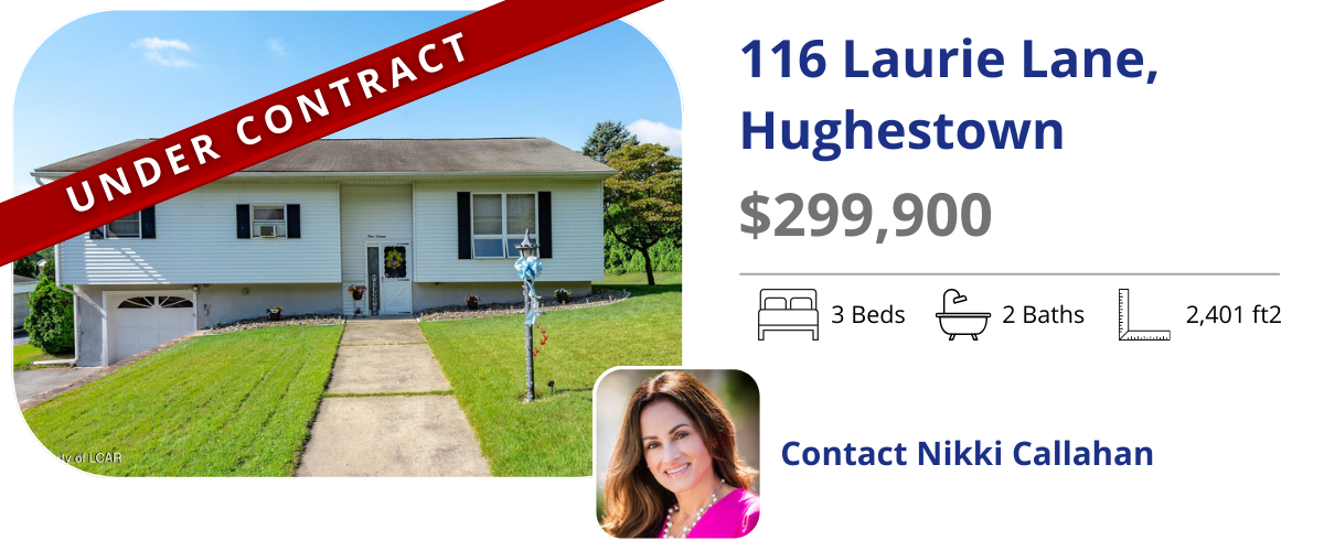 homes for sale in hughestown