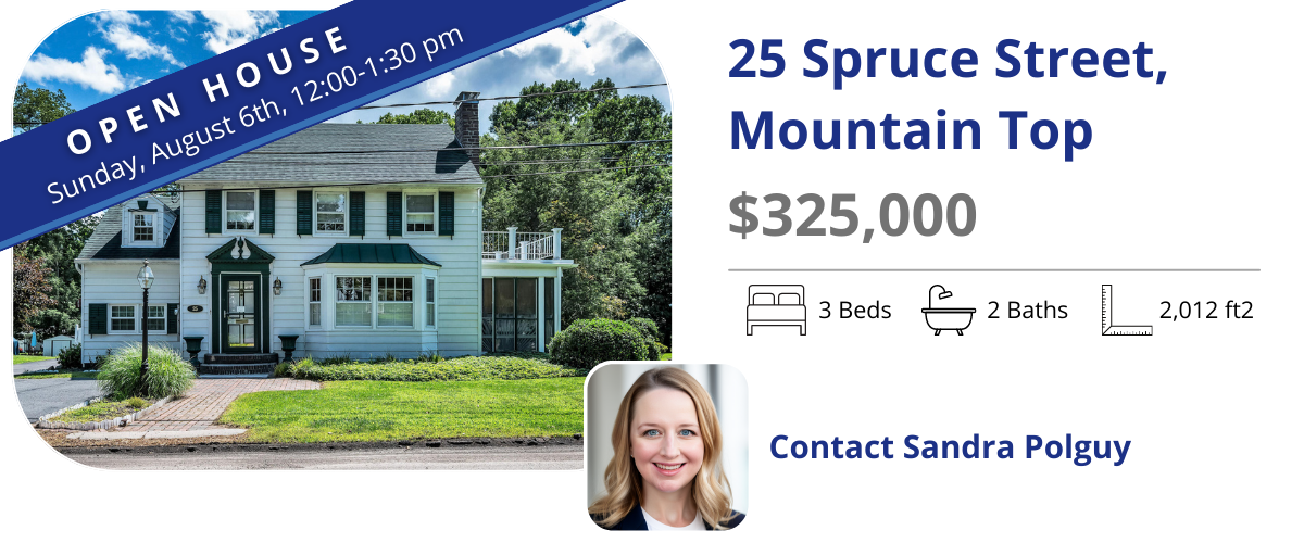 25 spruce st