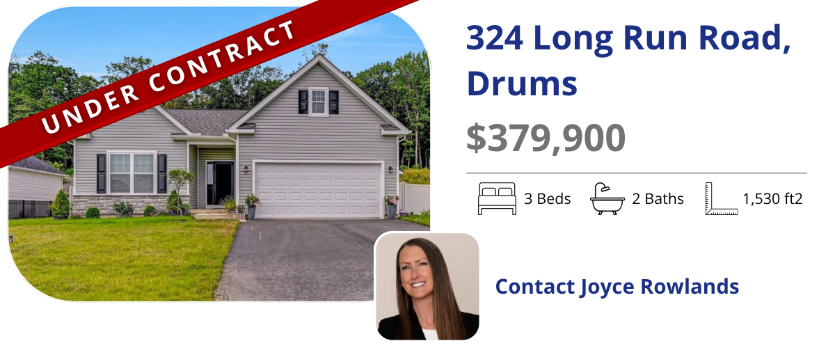 homes for sale in drums