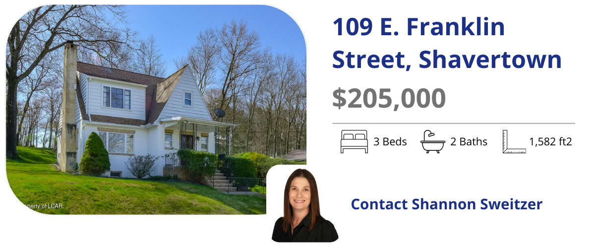 109 e franklin st shavertown