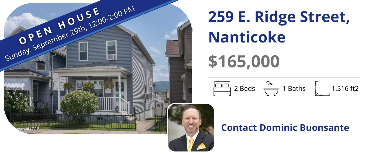 259 e ridge st nanticoke