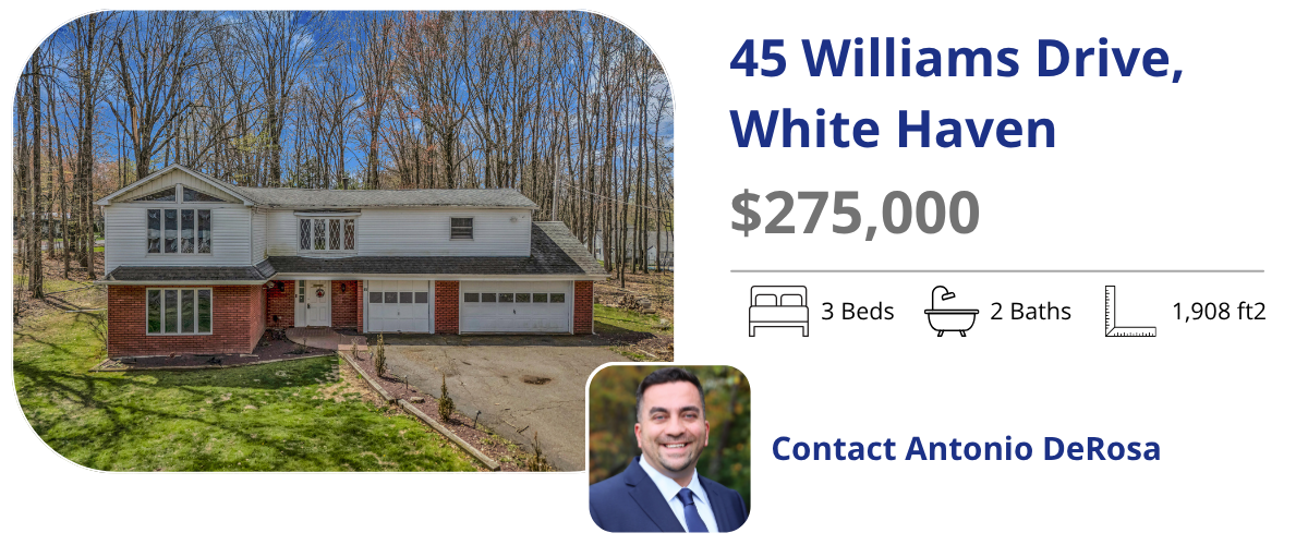 45 williams dr