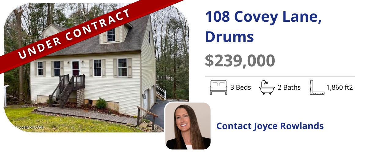 homes for sale in drums