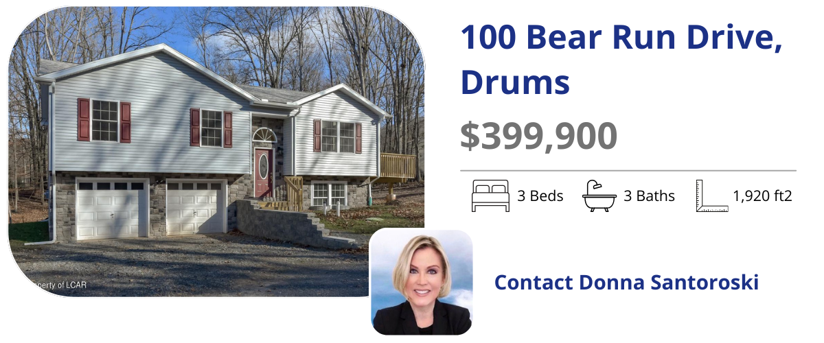 100 bear run dr