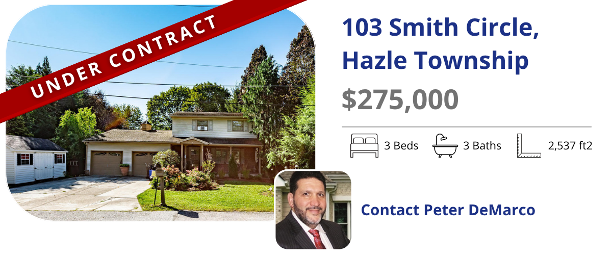 homes for sale in hazle twp