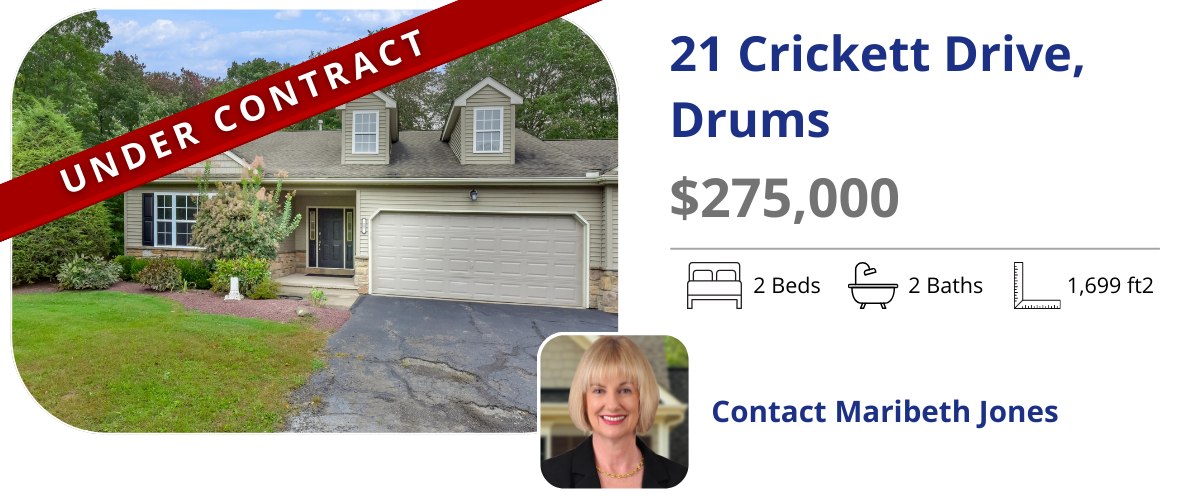 homes for sale in drums