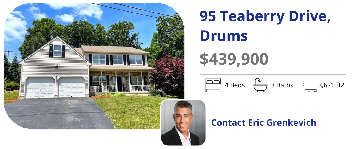 95 teaberrry drive drums