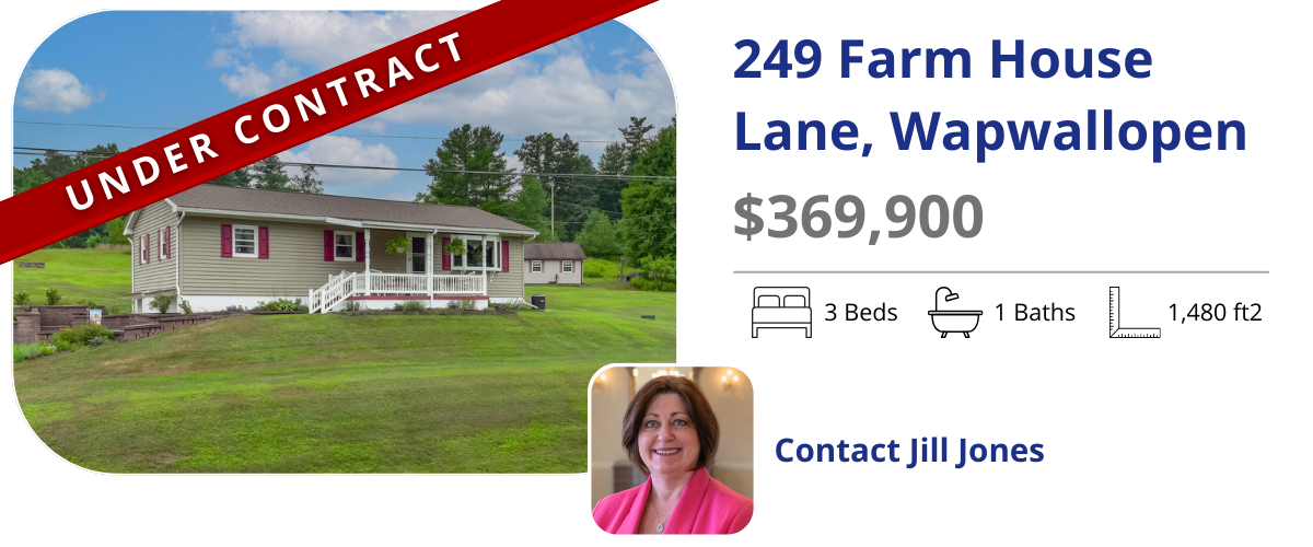 homes for sale in wapwallopen