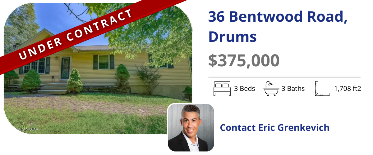 homes for sale in drums