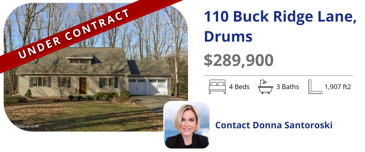 homes for sale in drums