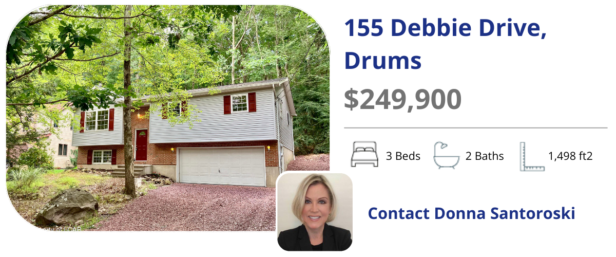 155 Debbie dr