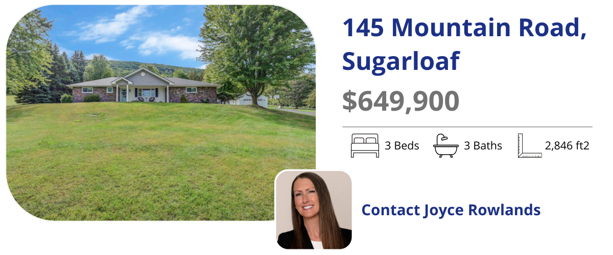145 mountain road