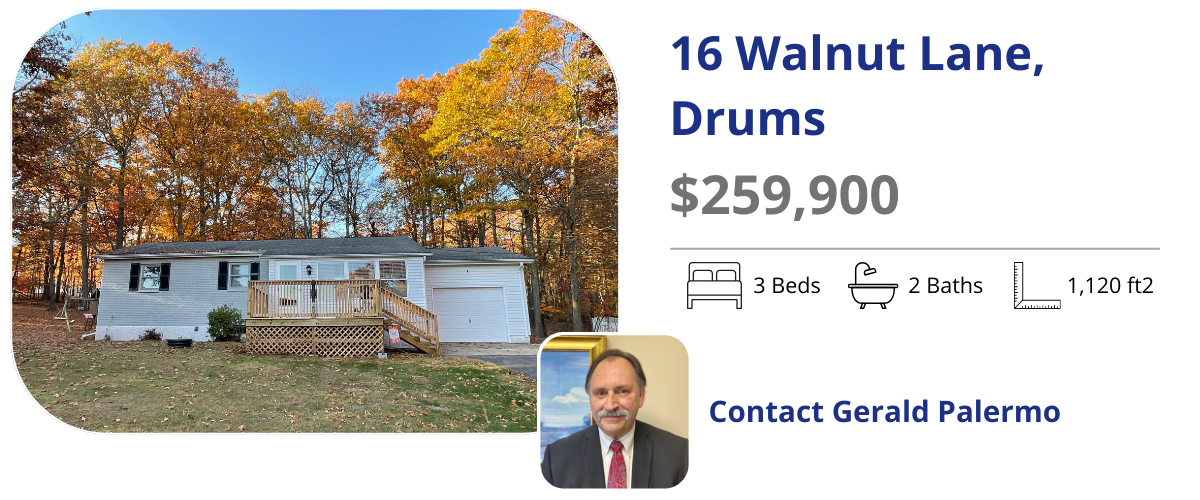 16 wlanut ave