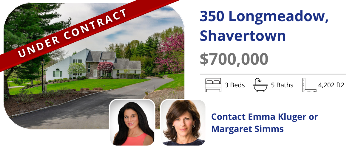 homes for sale in back mountain