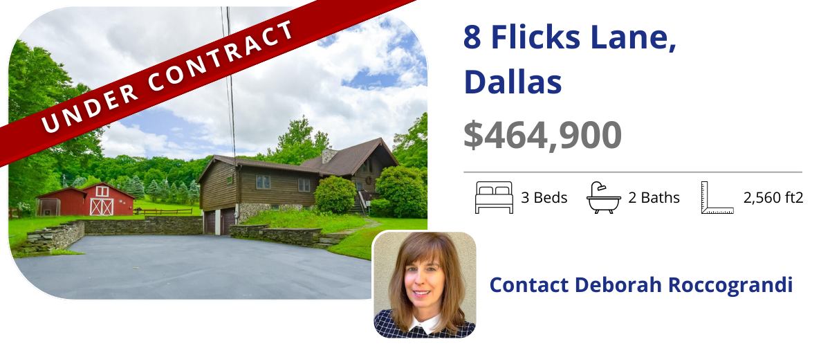 homes for sale in back mountain