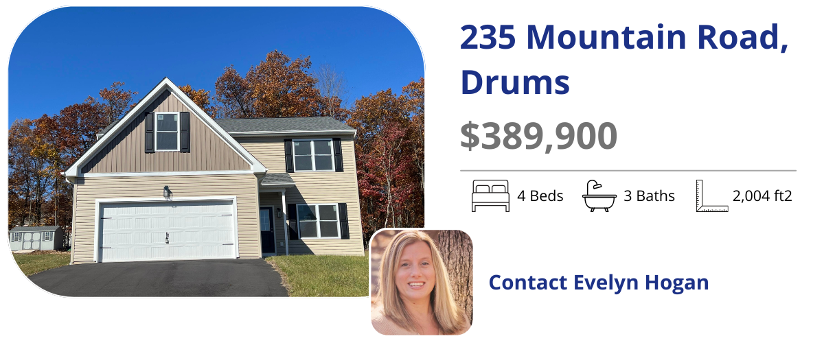 235 mountain road