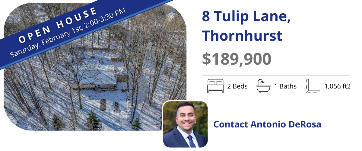 8 tulip open house