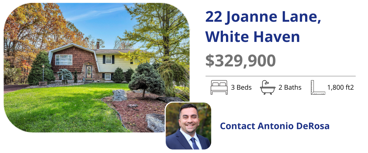 22 joanne lane white haven