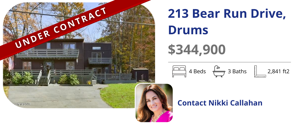 homes for sale in drums