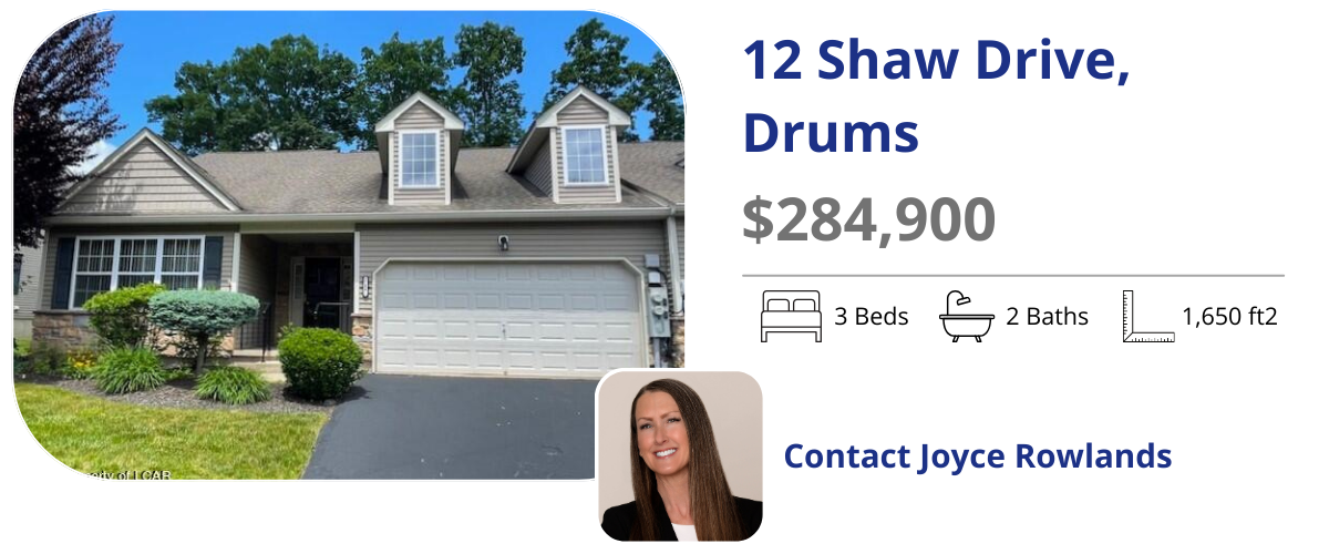 12 shaw dr drums
