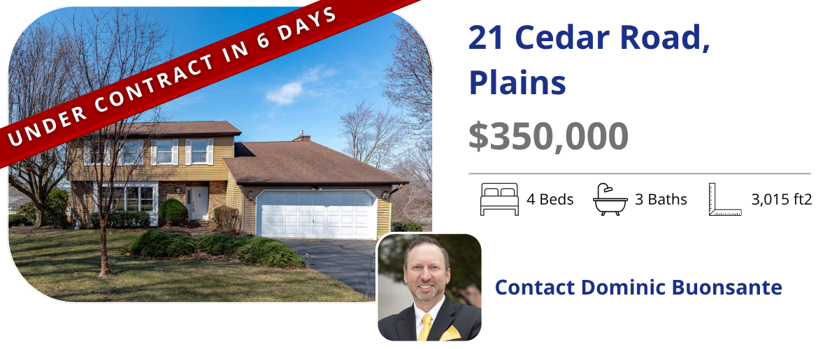 homes for sale in plains