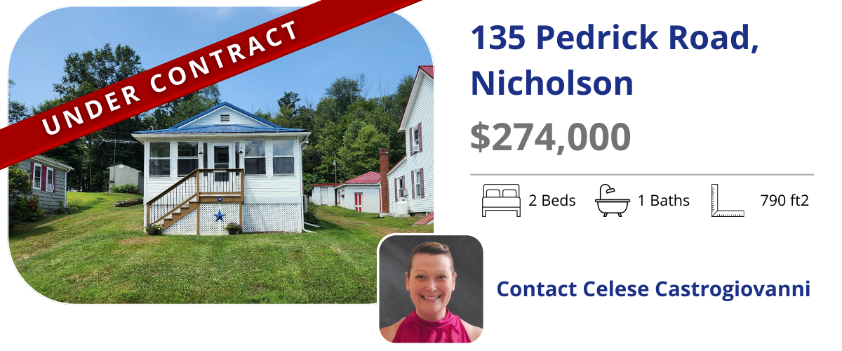 homes for sale in nicholson