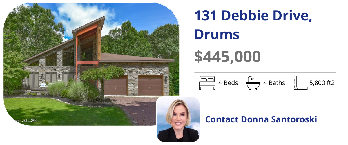 131 debbie dr drums