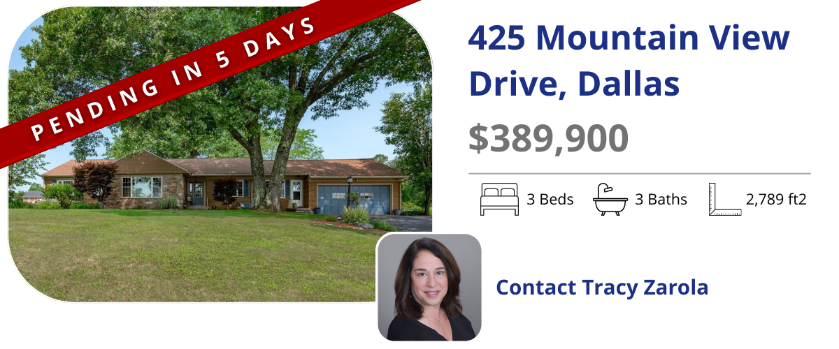 homes for sale in back mountain