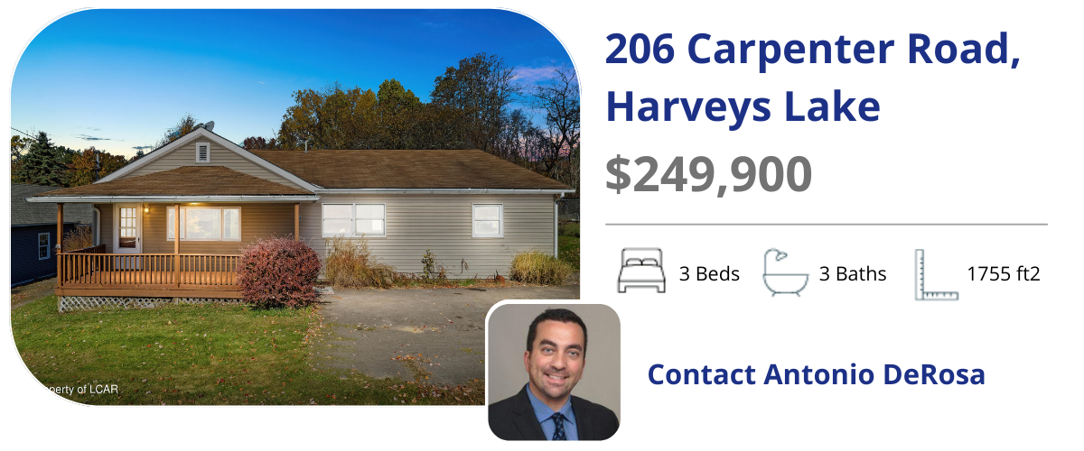 206 carpenter