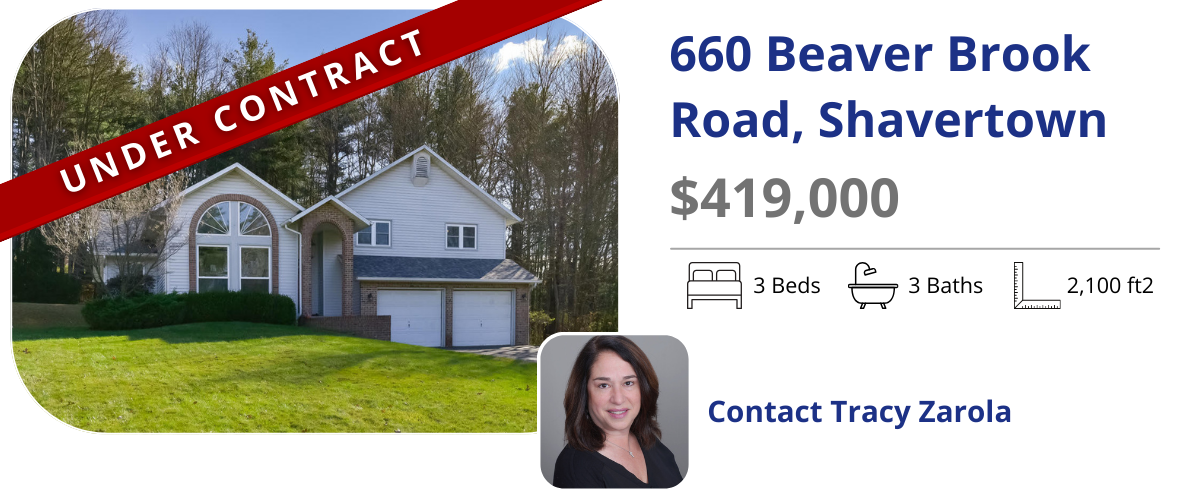 homes for sale in back mountain