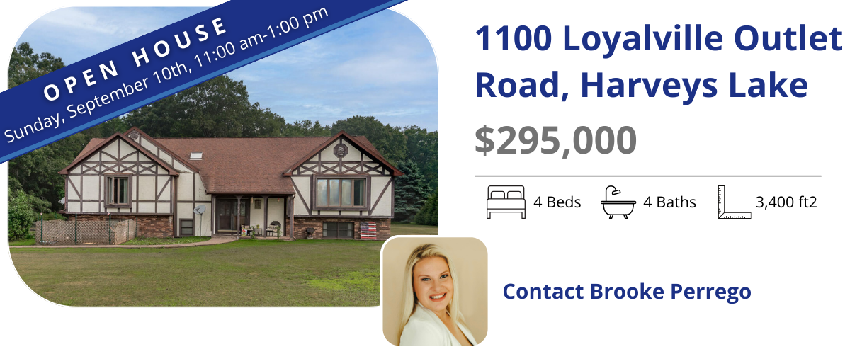 open house 1100 loyalville