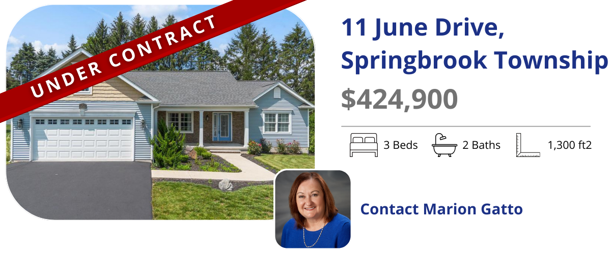 homes for sale in spring brook twp