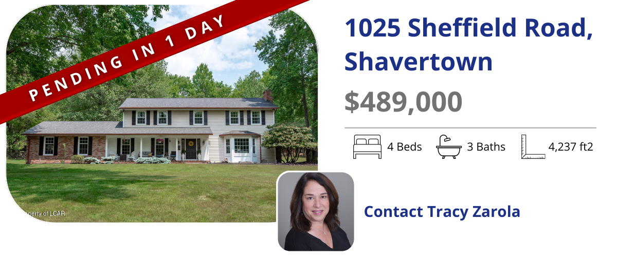 homes for sale in back mountain