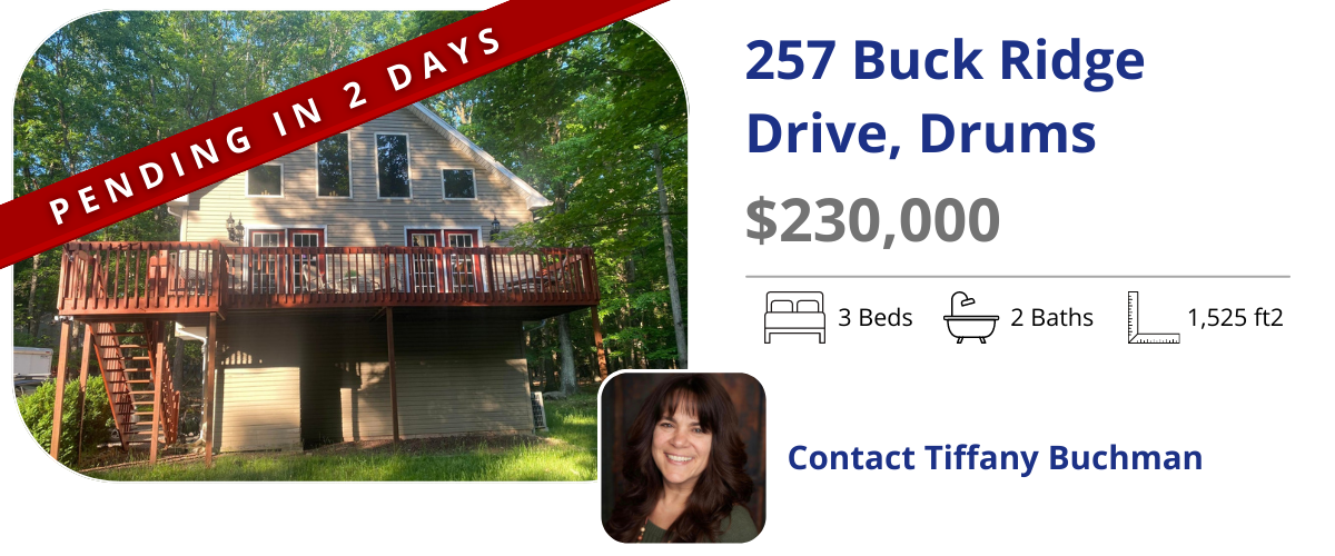 homes for sale in drums