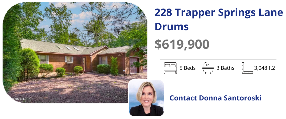 228 Trapper Springs Lane