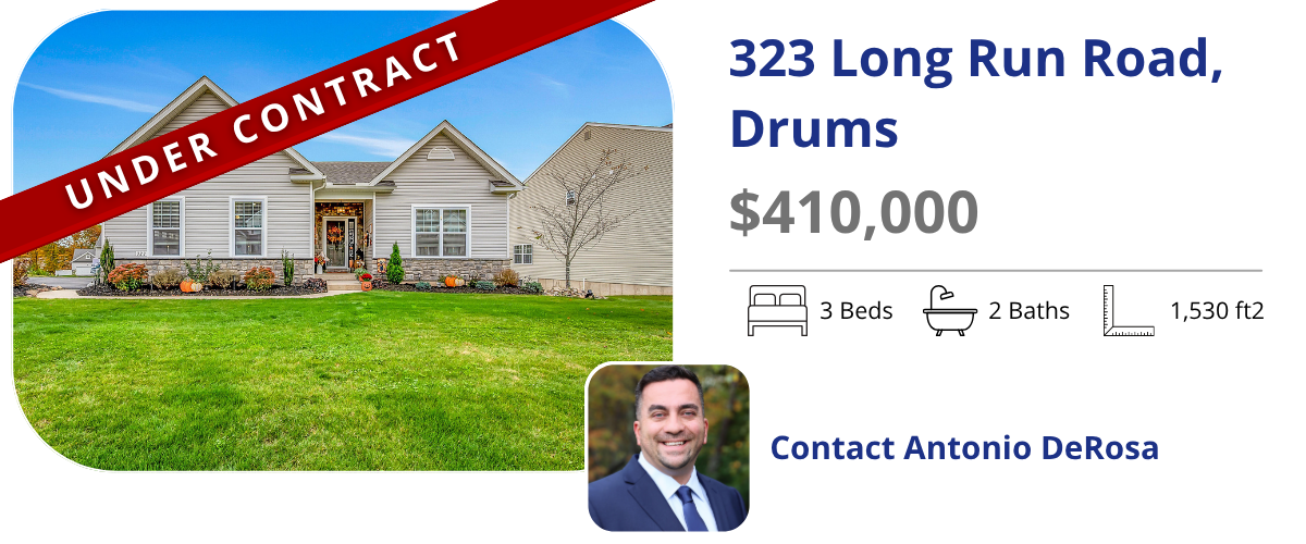 homes for sale in drums