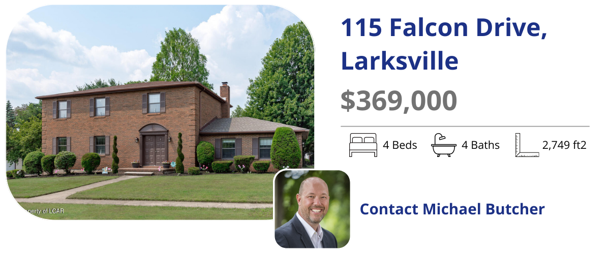 115 falcon dr larksville