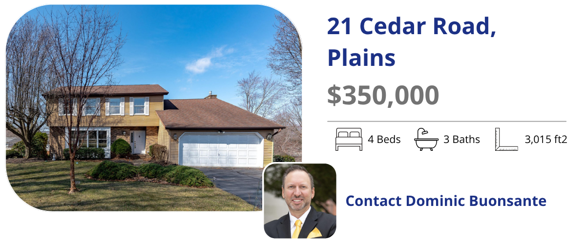 homes for sale in plains