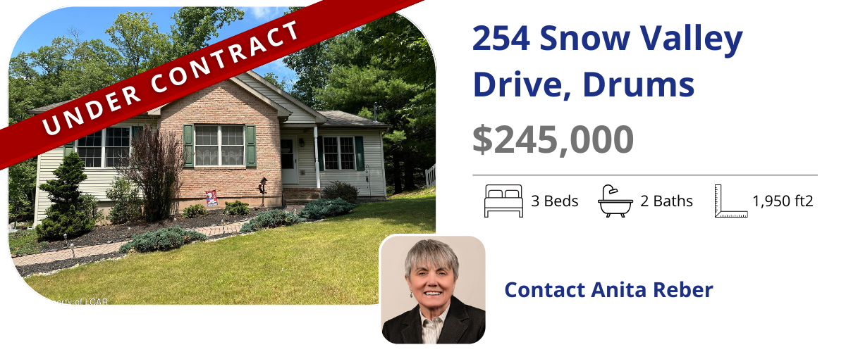 homes for sale in drums