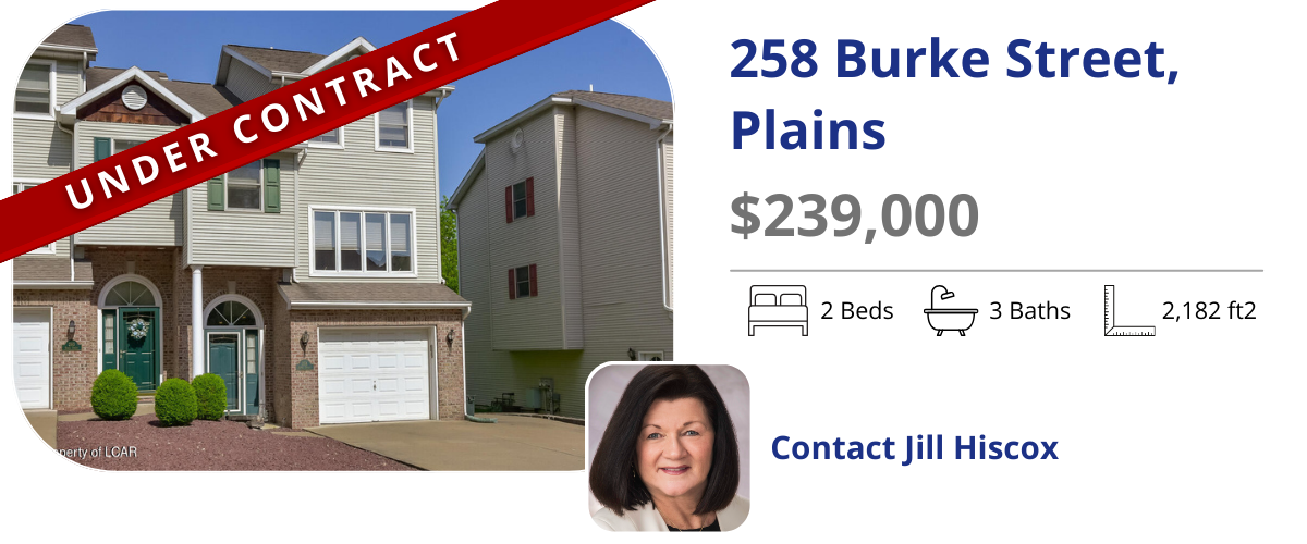 homes for sale in plains