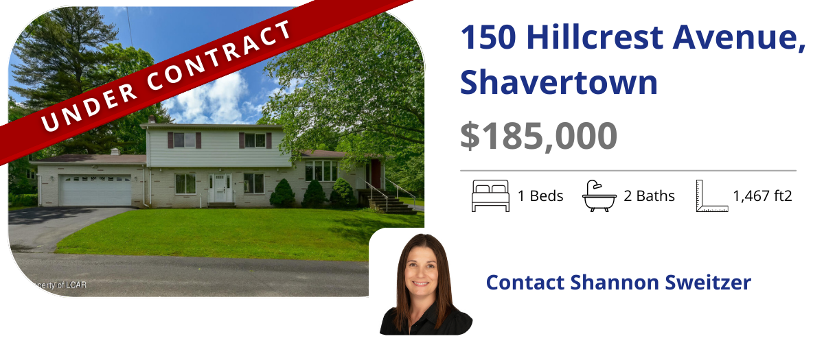 homes for sale in back mountain