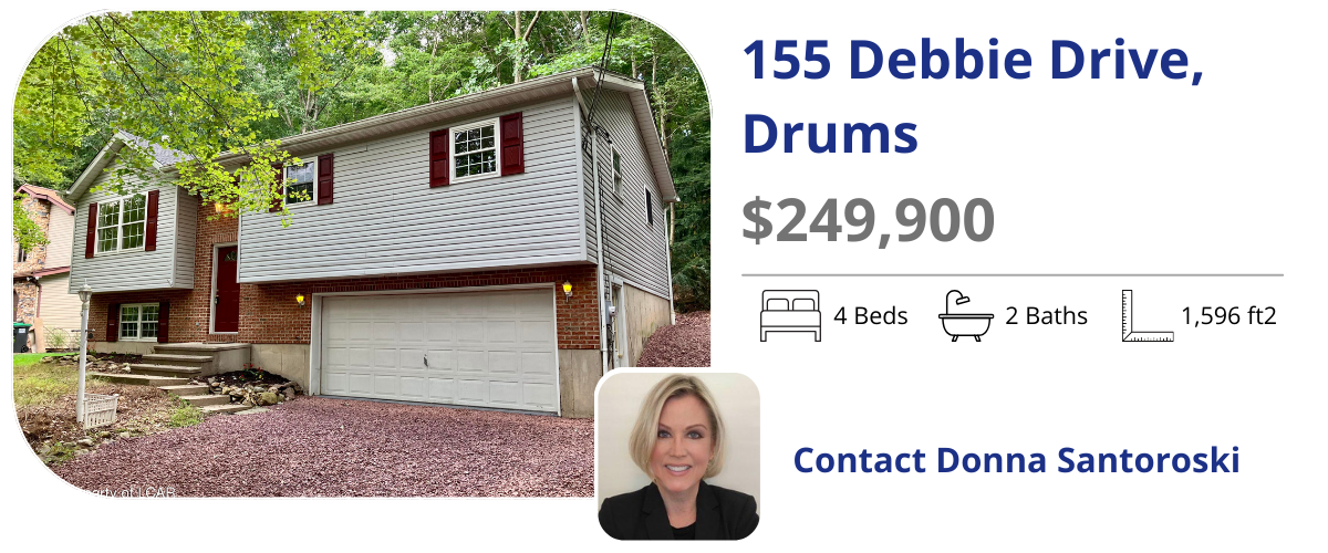 155 debbie dr drums