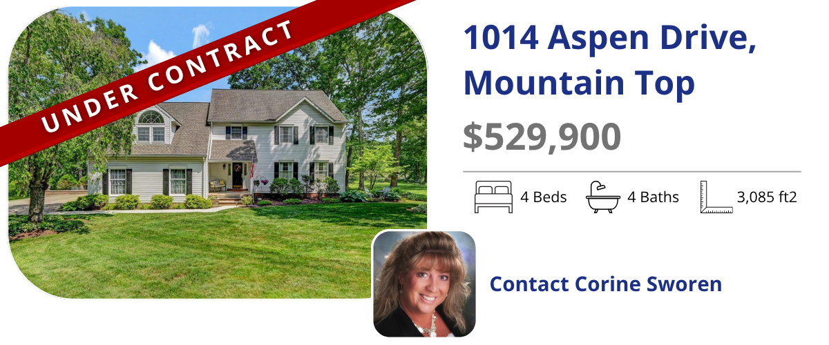 homes for sale in mountain top