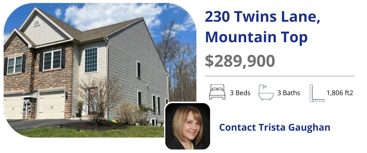 230 Twins Ln